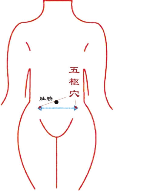 治妇科疾病 按揉 五枢穴