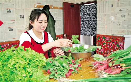 倪志华: 农家乐里多了文化味内蒙古日报数字