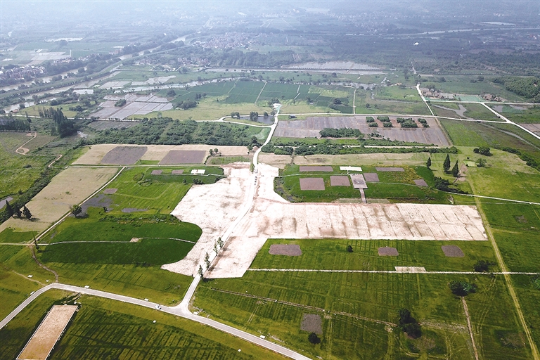 良渚國家考古遺址公園的宮殿區 攝影/新華社記者 黃宗治