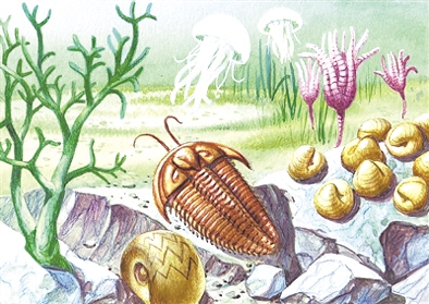 海中霸主三叶虫在海洋生物大灭绝中彻底消失