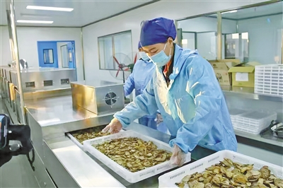 阿拉善治沙获益 用沙发展 靠沙致富